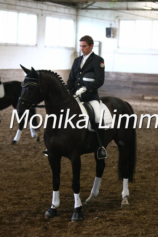 009M3075_Coco Procol_Dressurpferde_A.JPG